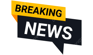 Breaking News on Fashion and Accessories Sales Growth Breaking News on Fashion and Accessories Sales Growth